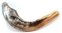 Shofar Kosher Ram Horn 16"