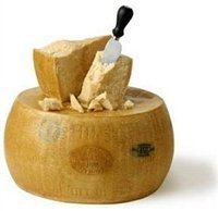Parmigiano Reggiano - 1 Pound