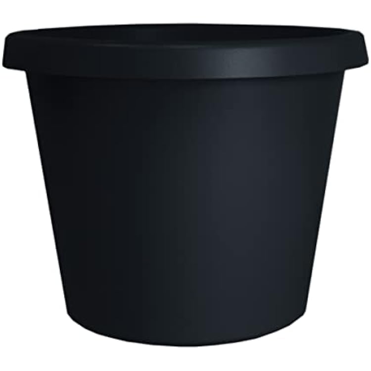 The HC Companies 6 Inch Round Prima Planter - Small Plastic Plant Pot with Rolled Rim for Indoor Outdoor Plants Flowers Herbs, Black