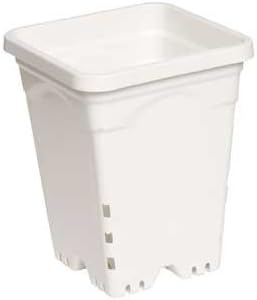 1/cs 6"x6" Square White Pot, 8