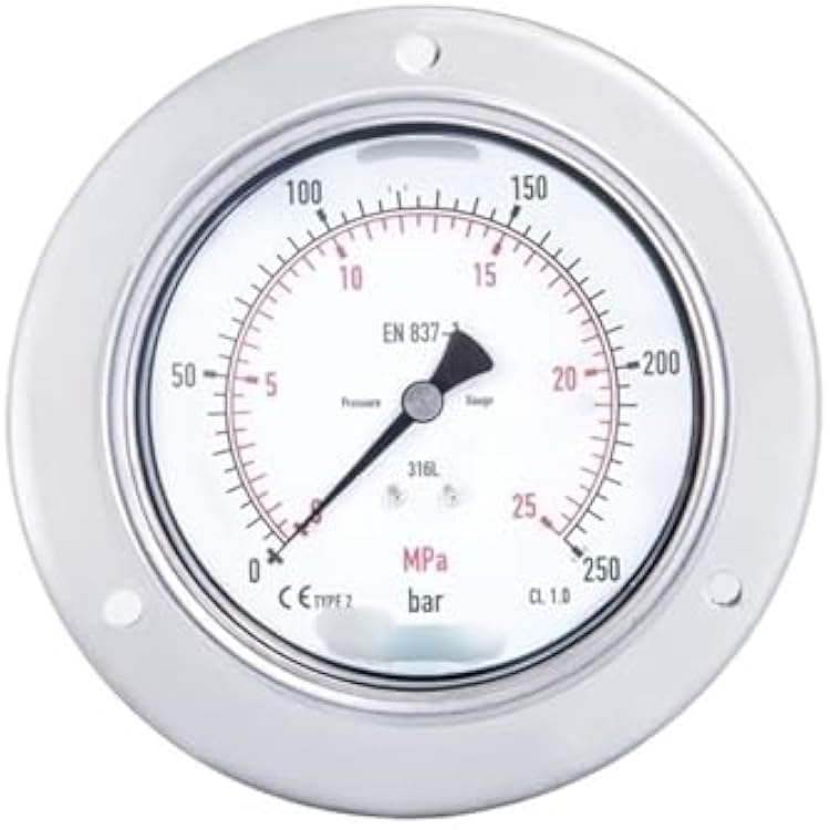 Stainless Steel Pressure Gauge 232.50.100 M20X1.50~16 bar0~1.6Mpa