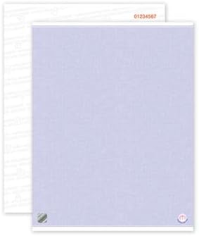 High Security Document Paper with Hologram (Cannot be Photocopied) (200)