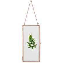 NCYP Small Double Glass Floating Frame for Photo, Picture, Pressed Dried Flowers - 4.1" x 9" - Wall Hanging Clear Artwork Display Clip, Indoor Home Decor, Black (Plants Not Include)