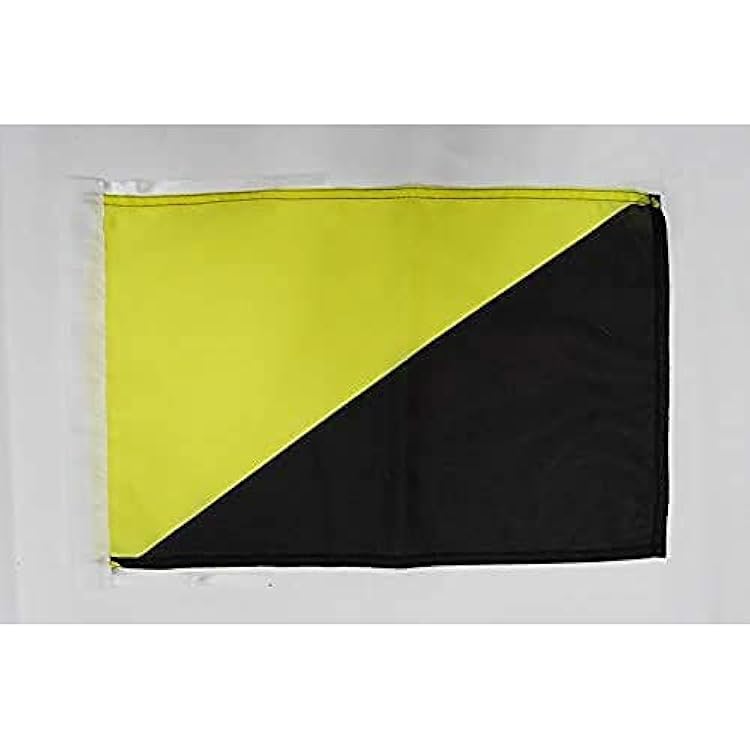 AZ FLAG Anarcho-capitalism Flag 18 x 12 cords - anarchist capitalist - anarchism SMALL flags 30 x 45cm - Banner 18x12 in