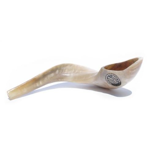 17-18 Kosher Rams Horn Polished Shofar Made in Israel