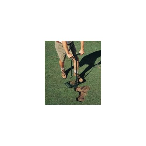 Hexagon Turf Repair Tool