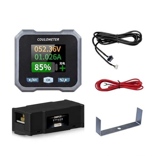 10-100V Battery Monitor with 100A Shunt, LCD Backlight Coulometer, Digital Voltage Current Power Capacity Meter for RV, Marine, Motorcycle, Golf Cart, Solar System