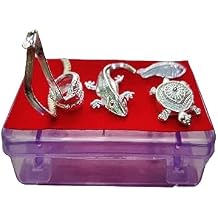 GOOFY TURTLE Silver Bhoomi Pujan Kit for VAASTU Puja- HomeGRIHA Poojan Samagri