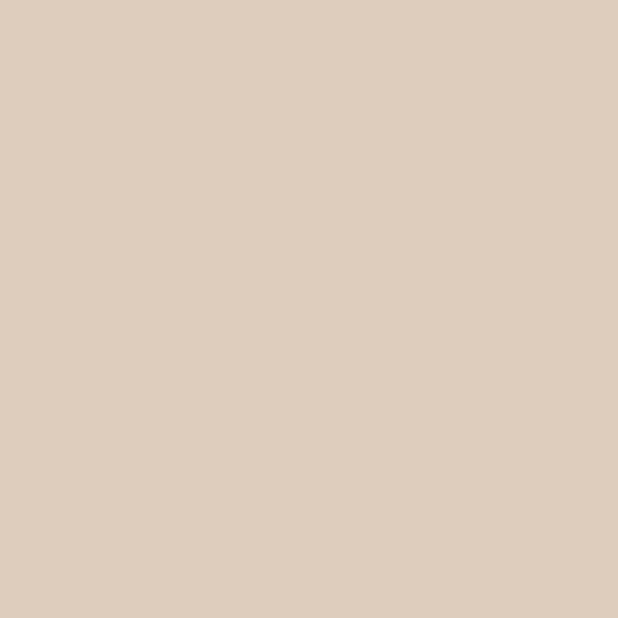 Pantone TPG 8.5X11 Sheet 12-1403 Tapioca