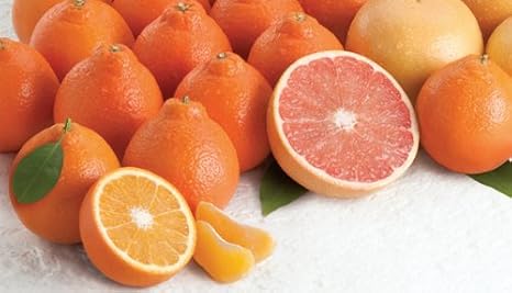 Rare Florida Honeybell Oranges Honeybell Tangelos AND Ruby Red Grapefruit Grove Fresh 15lbs