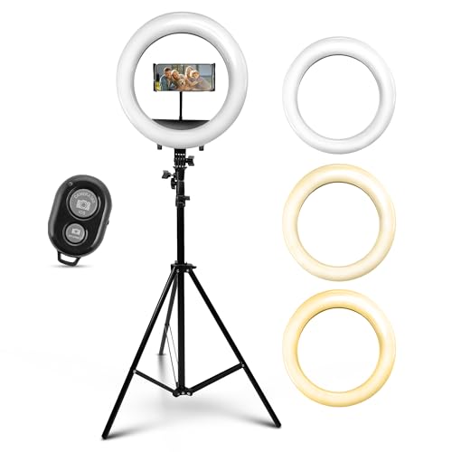 iDance LED Ring Light with Cell Phone Holder, 12", USB Powered with BT Wireless Remote Control and Foldable Adjustable Tripod Stand, Selfie, Makeup Ring Light with Universal iPad Mini Holder