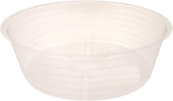 Bond CVS010DL 10-Inch Deep Dish Clear Plastic Saucers