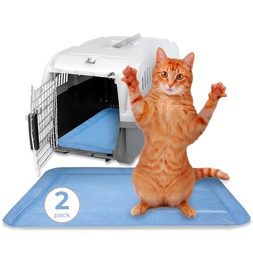 Skywin Pet Carrier Pads, 2 Pack Cat Carrier Pad Insert 19.5 x 12.5, Disposable Small Cat Carrier Liner Pad, Puppy Training PadsBlue