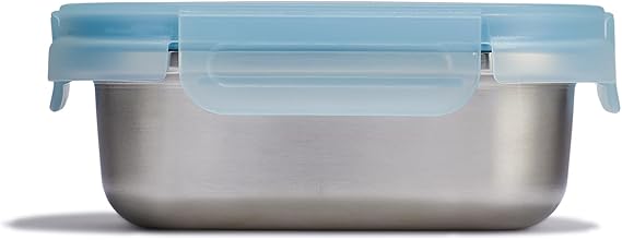 Hydro Flask Food Container Hot Lunch Stainless Steel Snack Container with Lid 2 Cup Capacity in Rain