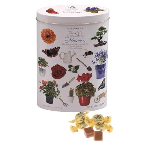 Gardiners of Scotland Handmade Fudge, Thank You Flowers Vanilla Fudge 8.8 Ounce Tin