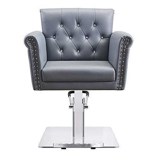Dir Salon Styling Chair Beauty Hydraulic Stylist Chair Lion