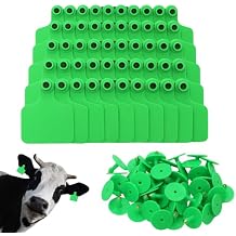 100PCS Identification TPU Precision Blank Cattle Ear Tags for Cattle Goats Sheep Pigs Hogs Calf Cows Tags Livestock (Green)