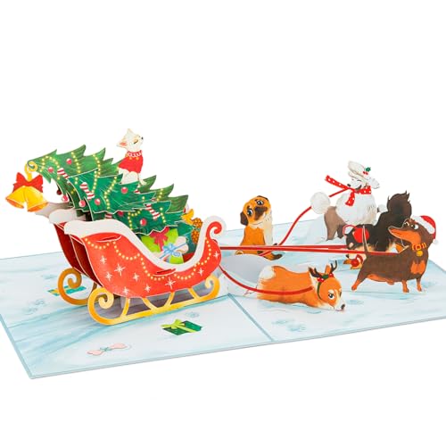 Christmas Dogs Sledding Pop Up Card, Snow, Pine Tree, 3D Greeting Card, Gift for Dog Fan, Kid, Boy, Girl, Sister, Brother, Friend, 5x7 - Includes Envelope And Message Note