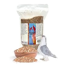 Morning Bird Pigeon Grit - Healthy & Nutritious Pigeon Food to Support Strong Muscles & Bones for Grit Eating Birds - Supports Digestion & Packed with Essential Minerals, 1.5 lbs