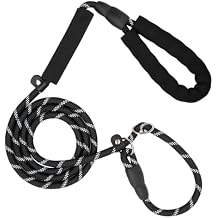 Amrules Dog Leash 6 FT with Comfortable Padded Handle, Training Loop Leash with Highly Reflective Threading for Medium Dogs, Black