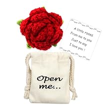 LUOKIFUR Pocket hug Sunflower Gift Crochet Inspirational Gifts for Family Friends Loved And Colleagues (Rose)