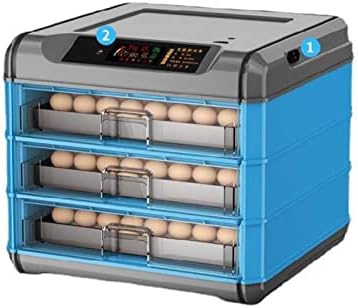 Egg Incubator for Hatching Chickens, Automatic Egg Turner with Temperature Control, Holds 12 Eggs, Ideal for Hatching Birds, Ducks, and Quails