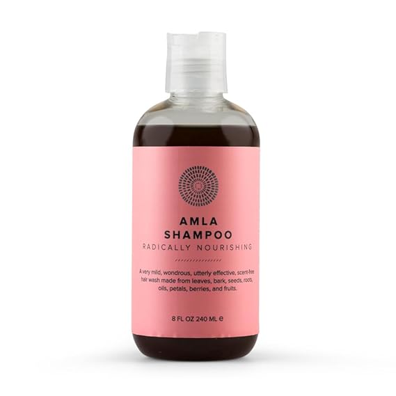 Hairprint Amla Shampoo, Thickens & Adds Volume, 8 Fl Oz | Nourishing formula with amla, meadowfoam oil & rose of jericho, helps address the look of dryness, dye-free & non-toxic