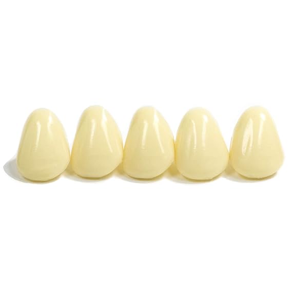 Dental Polycarbonate Temporary Crowns Refills (16)