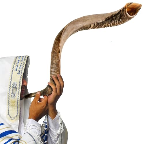 Kosher Jewish Kudu Blowing Horn Instrument Shofar from Israel - Kudu Shofar Angels Musical Instrument Half PolishedNatural Single, 44-46 - X SUPER JUMBO