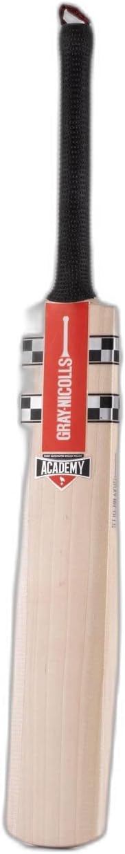 Gray-Nicolls ACADEMY ENGLISH WILLOW JUNIOR CRICKET BAT - NEW 2022