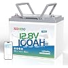 Redodo 12V 100Ah LiFePO4 Battery Bluetooth, Low-Temp Protection BCI Group 24 Lithium Battery for Trolling Motor, Bulit-in 100A Smart BMS, Perfect for Marine, Boat, RV, Solar and Off Grid