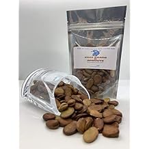 Windsor Broad Bean Seeds (a.k.a Fava Bean Seeds) Non-GMO, Approx. 75 Seeds per Package, Large Meaty Bean That's Great for soups and stews.