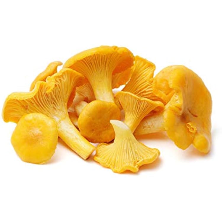 Chanterelle Mushroom Cantharellus cibarius Mycelium Spawn Dried Seeds 25g by Garden Pleasure