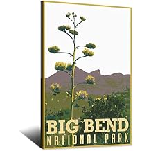 SDFSD Big Bend National Park Texas Vintage Travel Poster Decorative Posters Modern Bedroom Office Family Canvas Art Poster Picture Painting Posters Wall Decor Art Gift 12x18inchs(30x45cm)