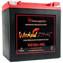 RG30L-WS Wicked Start 600+ CCA Battery