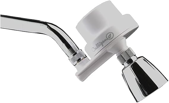 ISH-100 Inline Shower Filter