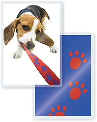 5 Mil Thermal Laminating Pouches with Rounded Corners | Jumbo Card Size | 2-5/16 in. x 4-1/8 in. | Glossy Finish | Premium Adhesive for High-Clarity | 2 Carriers Included | 100 Pack