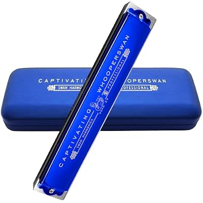Harmonica 24 Holes Armonica Mouth Organ Polyphonic Harp Mouthorgan Professional Performance Harmonica Advanced Key of C Woodwind Music Instrument Gift