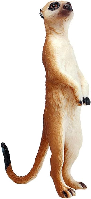JOKFEICE Animal Figures Realistic Plastic Standing Mongoose Animal Action Model Science Project, Learning Educational Toys, Birthday Gift, Cake Topper for Kids Toddlers