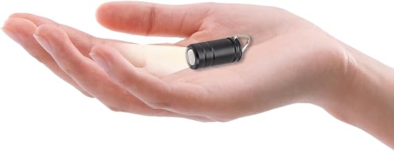 1PCS Tiny Flashlight Mini Flashlight Key Chain Nano Keychain Light Compact LED Flashlights Smallest Tiny Lantern Micro White Rows Bright Light Portable Torch with Hook Hiking Camping (Black)