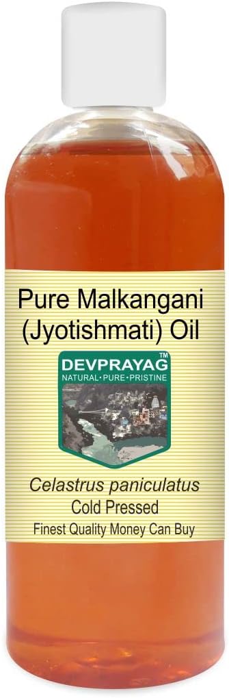 Pure Malkangani (Malkangni/Jyotishmati) Oil (Celastrus paniculatus) Natural Therapeutic Grade Cold Pressed 200ml (6.76 oz)