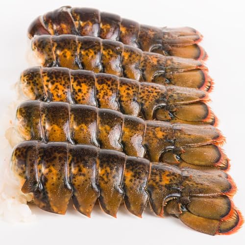 Today Gourmet- Maine Cold Water Lobster Tails 10oz-12oz 6 Tails