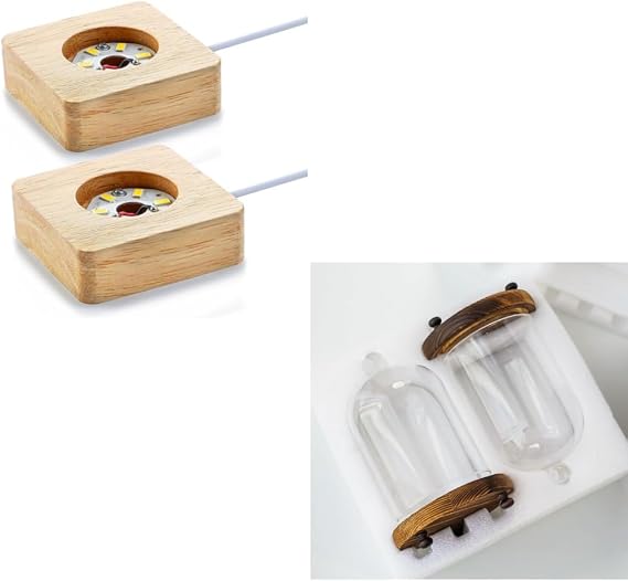 ZEERSHEE Pack 2 Wooden LED Light Display Base and 2pcs Glass Cloche Display Dome