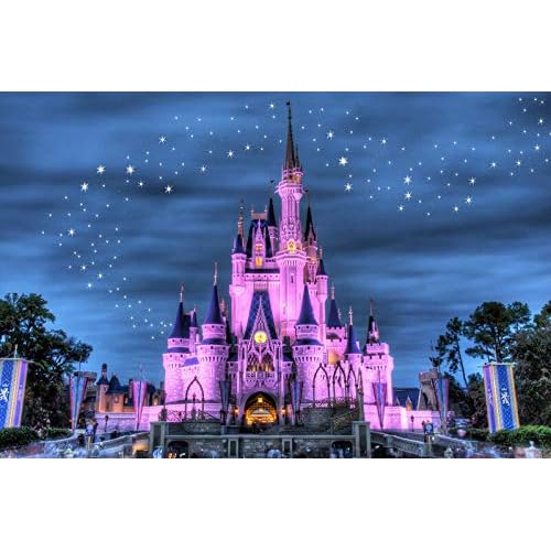 Disney Castle - Canvas OR Print Wall Art