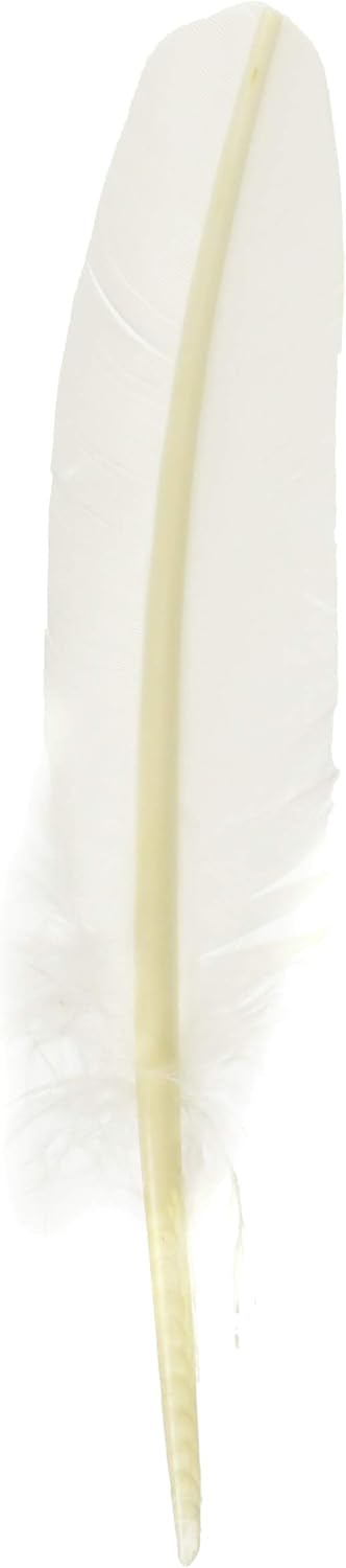 Elban Quill Pen, White, hb23301s
