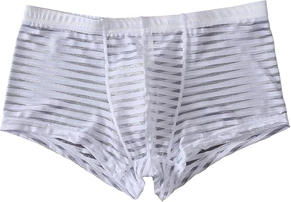 Mens Underwear Lightweight Sheer Striped Thongs Low Rise See Through Stretch T Panties Transparent Boxer Briefs