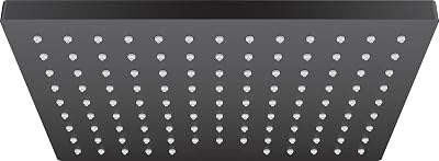 hansgrohe 262810013671 Vernis Shower Head Showerhead