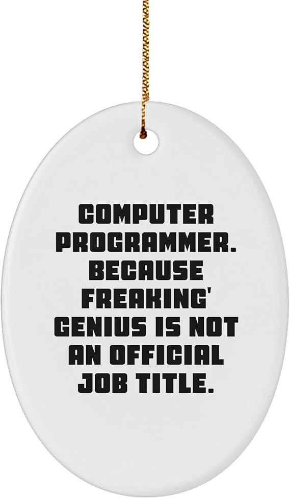Computer Programmer Oval Ornament | Funny Gifts for Computer Programmers | Unique Christmas Unique Gifts from Santa to Computer Science Students