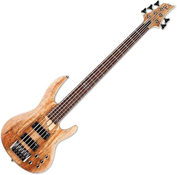 ESP LTD B-205SM Spalted Maple Five-String Bass Guitar, Natural Satin