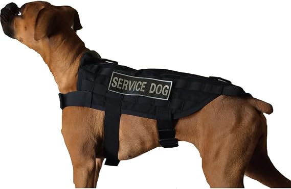 DDT SGT Stubby Vest Medium - Black